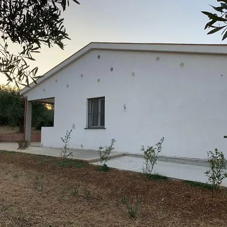 Sa Domu E Muru Galtellì